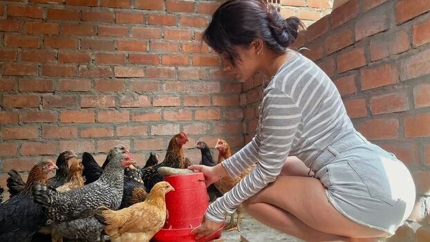 La Criadora De Gallinas
