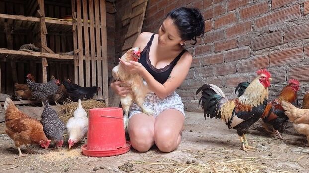 La Criadora De Gallinas