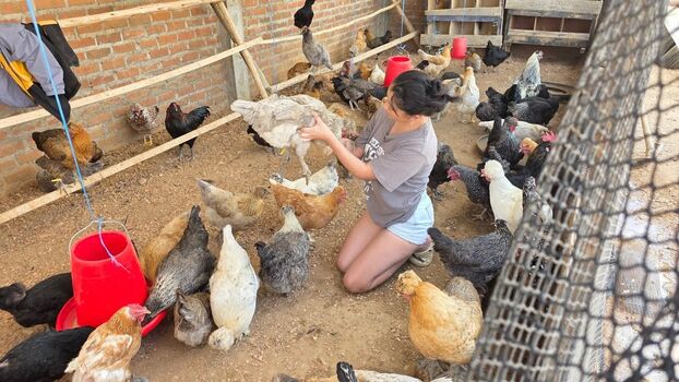 La Criadora De Gallinas