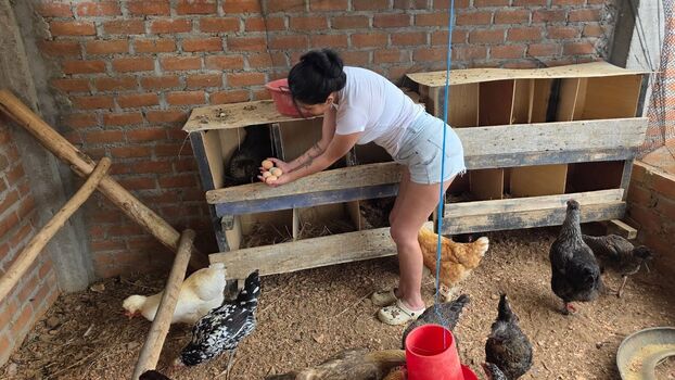 La Criadora De Gallinas