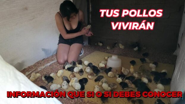 La Criadora De Gallinas