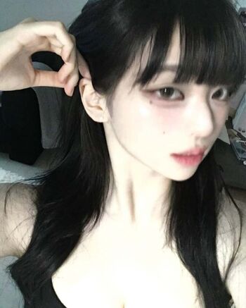 latulip_0
