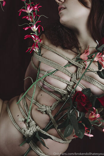 Lauretta