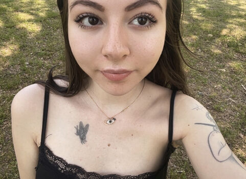 Laylubug