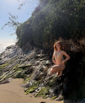 Lily Brooks O’Briant