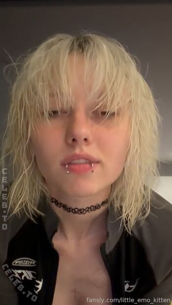 little_emo_kitten