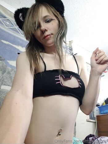 littlejadepup