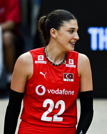 İlkin Aydın