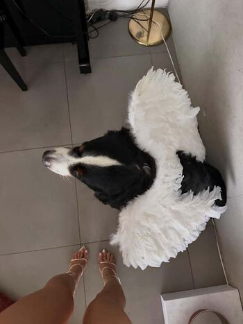 Luna Piombanti