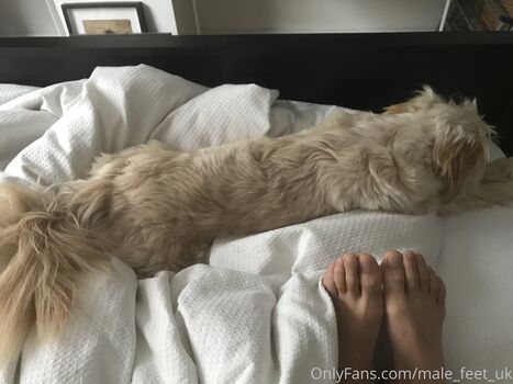 male_feet_uk