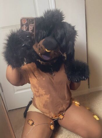Mastiff_runaway