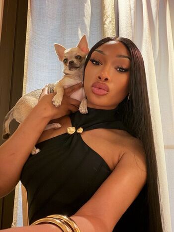 Megan Thee Stallion