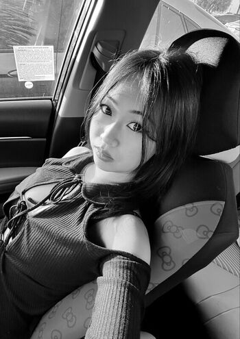 Mei Lee