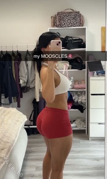 melodi.mzd