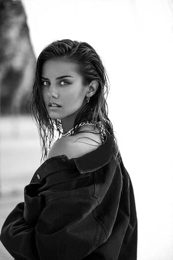 Nicola Cavanis
