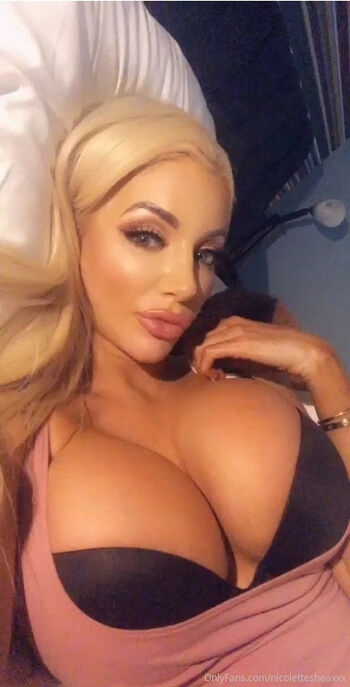 Nicolette__shea