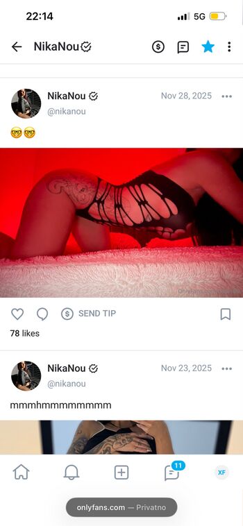 Nika Ilcic