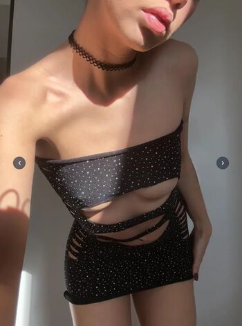 North_blondie