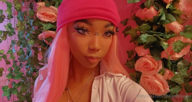 officialprincessdom