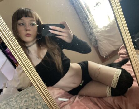phoebefawn