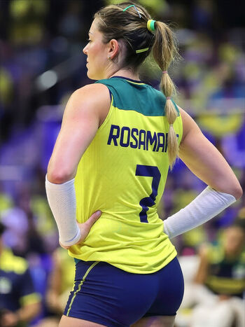 Rosamaria Montibeller