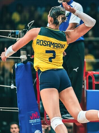 Rosamaria Montibeller