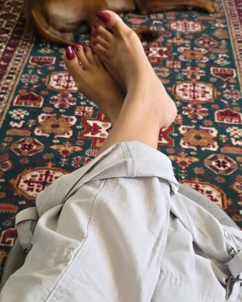 Saman Ansari