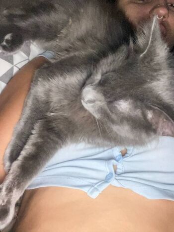 Leaked Sarah kate private photo viral onlyfans
