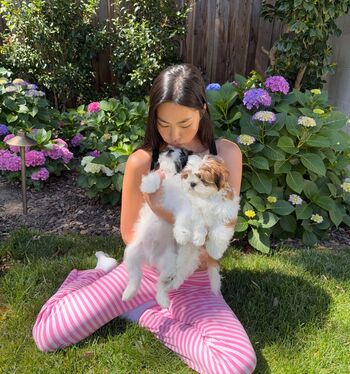 Leaked Shannon zhao private photo viral onlyfans