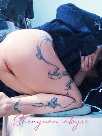 Shenyuan_abyss