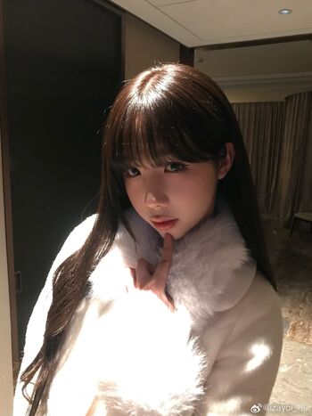shiliuyelei