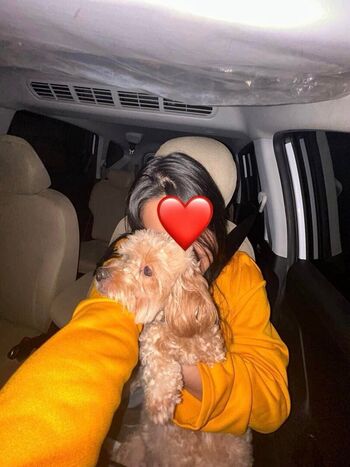 Leaked Shizumigamergirl private photo viral onlyfans