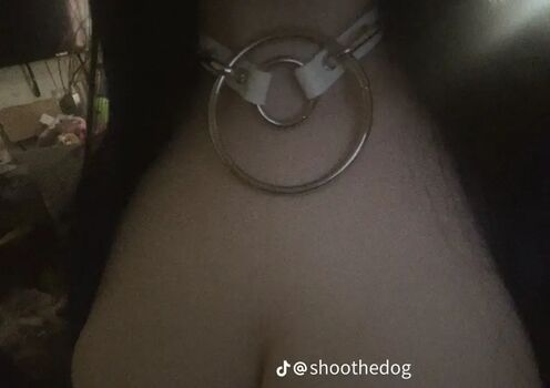 Leaked Shoothedogs private photo viral onlyfans