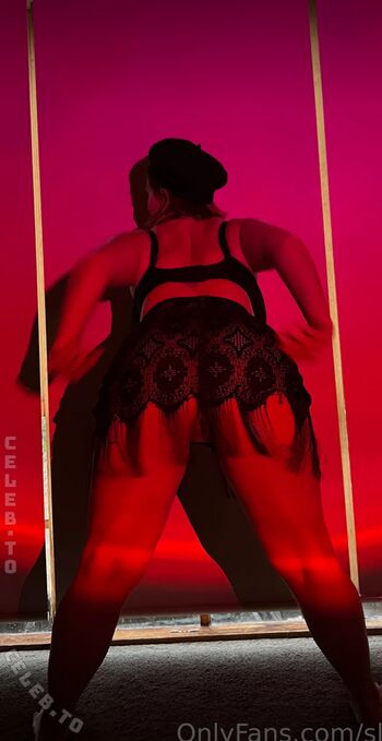 slice_of_salami
