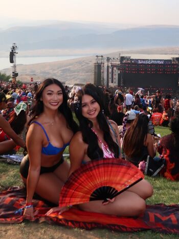 Staceyphan