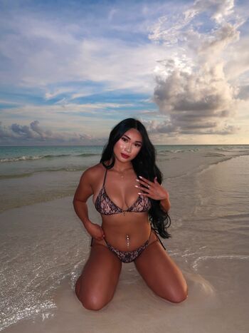 Staceyphan