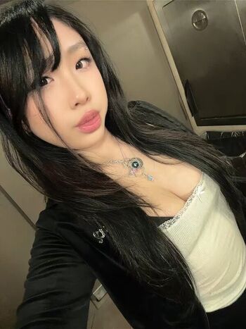 Stefnisu