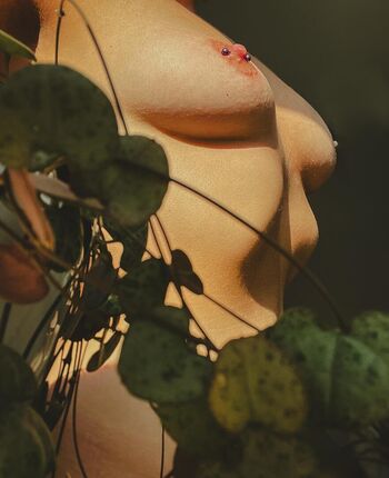 succulentslut96