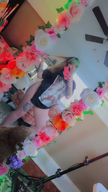 SugarBeanxo