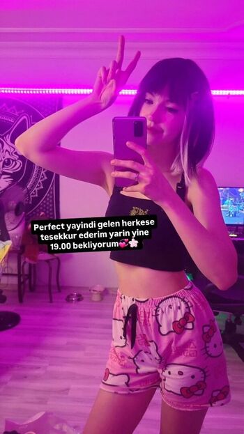 sylchasie