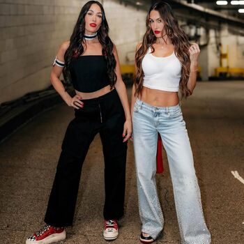 The Bella Twins