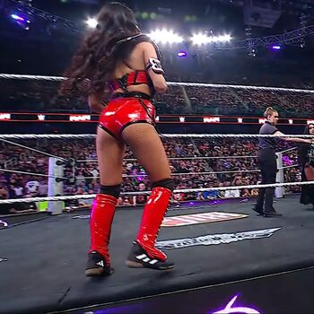 The Bella Twins