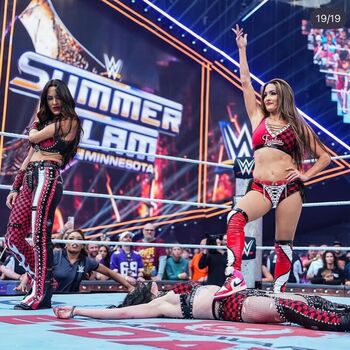 The Bella Twins