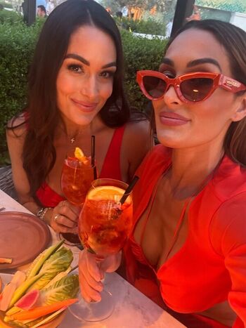 The Bella Twins
