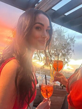 Leaked The bella twins private photo viral onlyfans