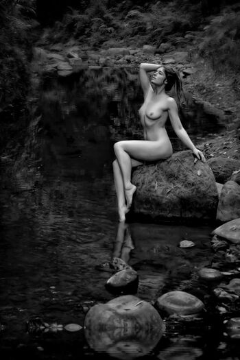 The Siren