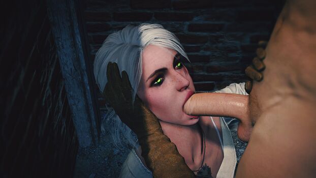 The Witcher