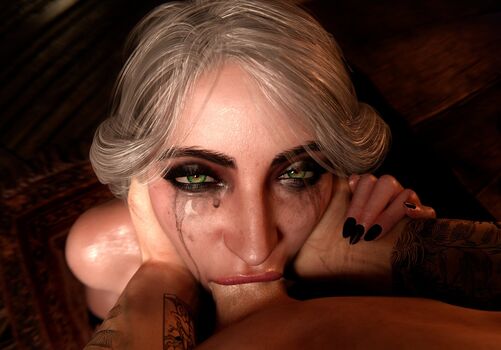 The Witcher