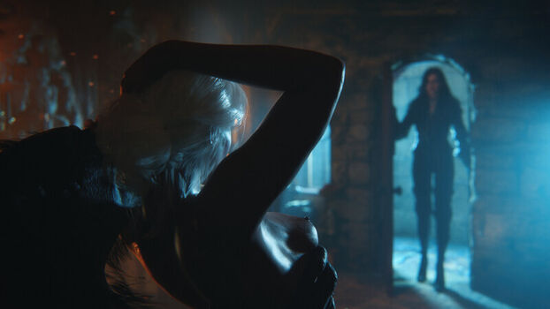 The Witcher