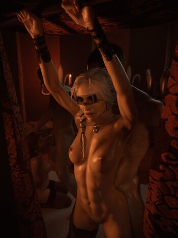 The Witcher